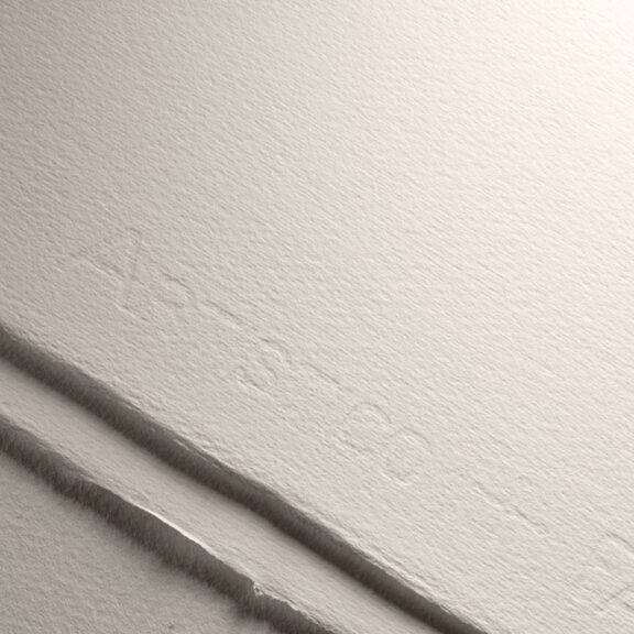 Immagine per LY 31100121