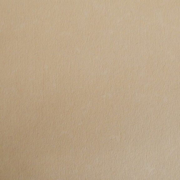 Immagine per LY M2243202