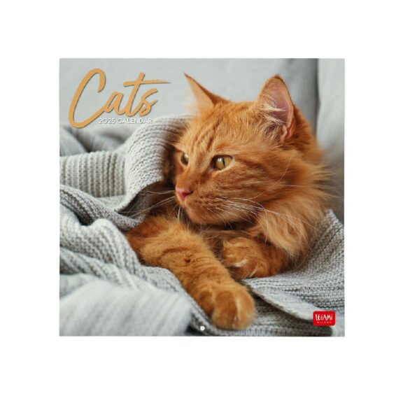 Immagine per LY CAL250004