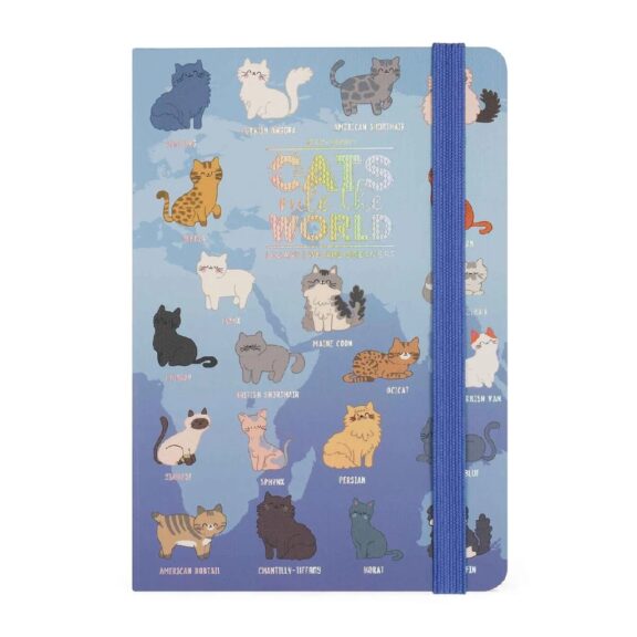 Immagine per LY AG2512143