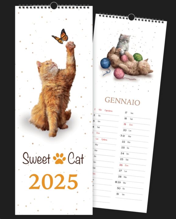 Immagine per LY SC25SP