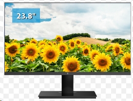 Immagine per LY MONSEV24POL