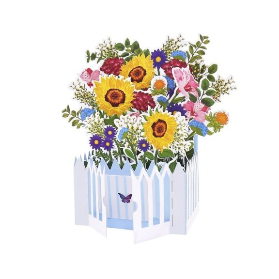 Immagine per LY FB003