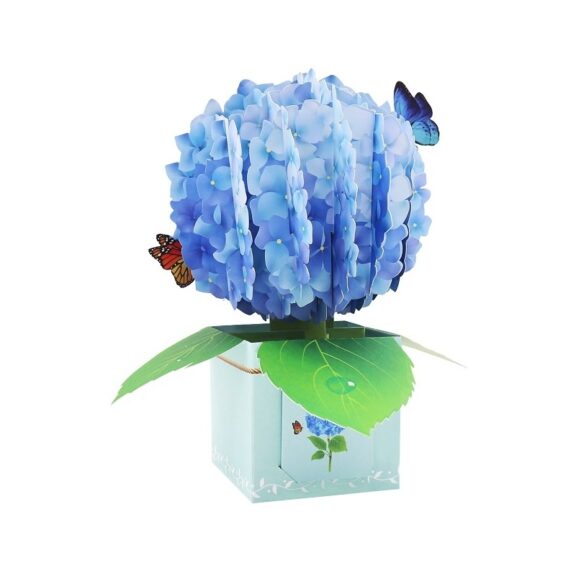 Immagine per LY FB004