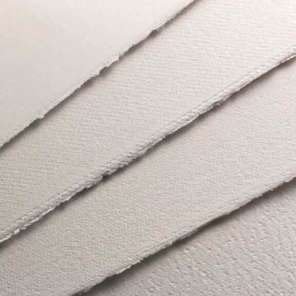 Immagine per LY 19430079